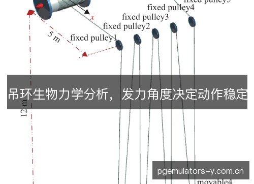 吊环生物力学分析，发力角度决定动作稳定